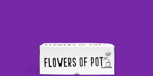 Why Flowers of Pot Make Excellent Gifts