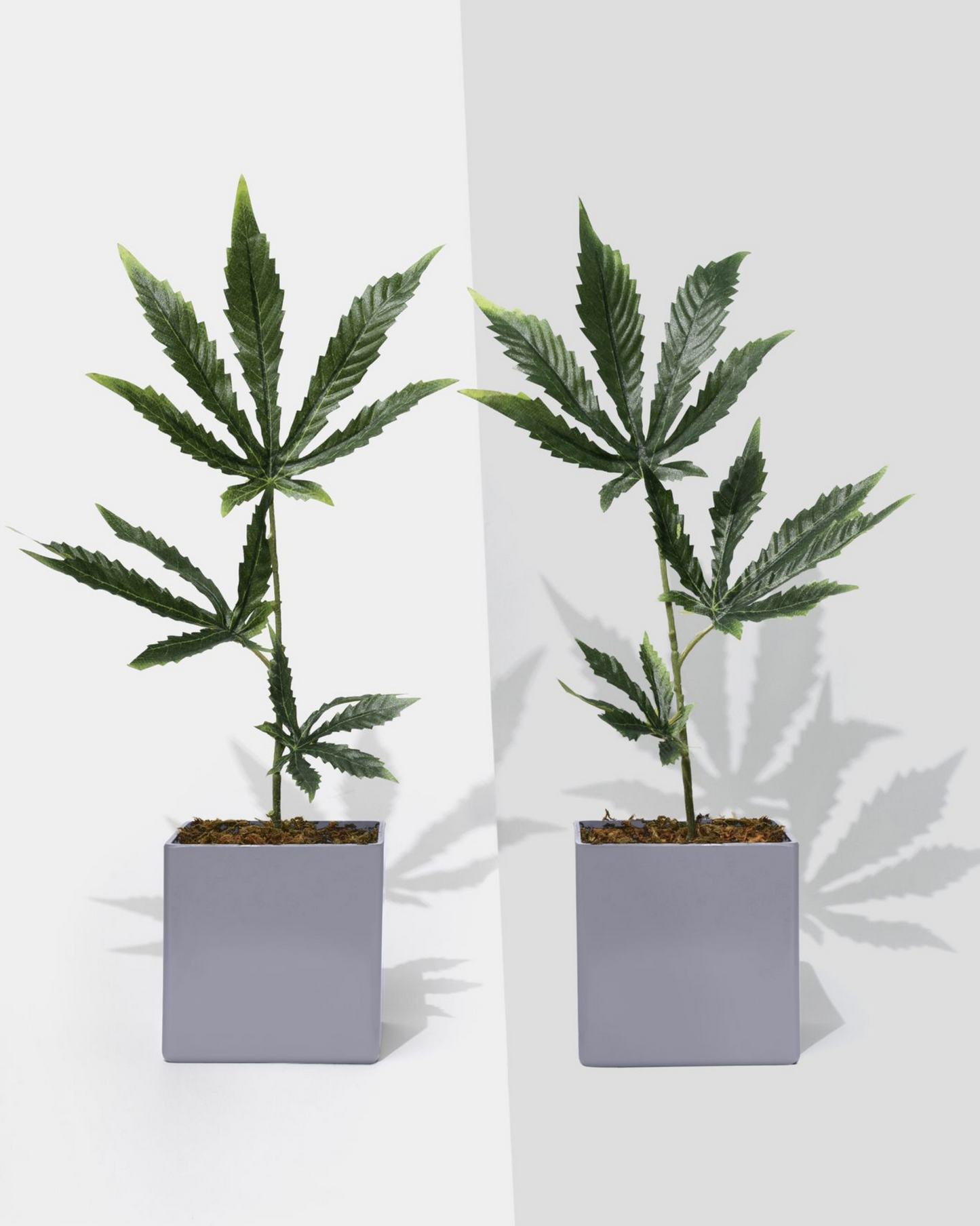 Gray Pots