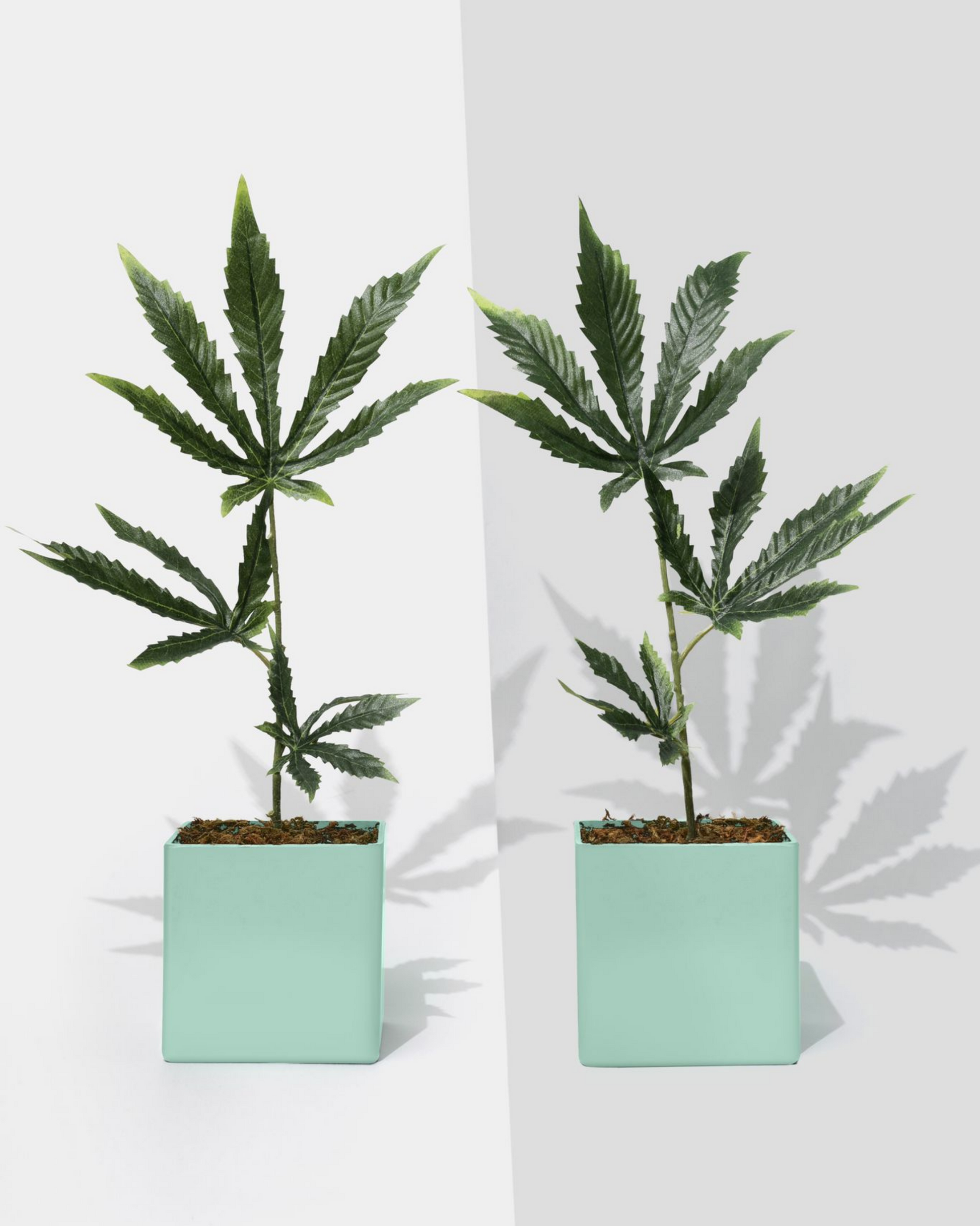 pots for weed plants Green Pots – Flowers of Pot